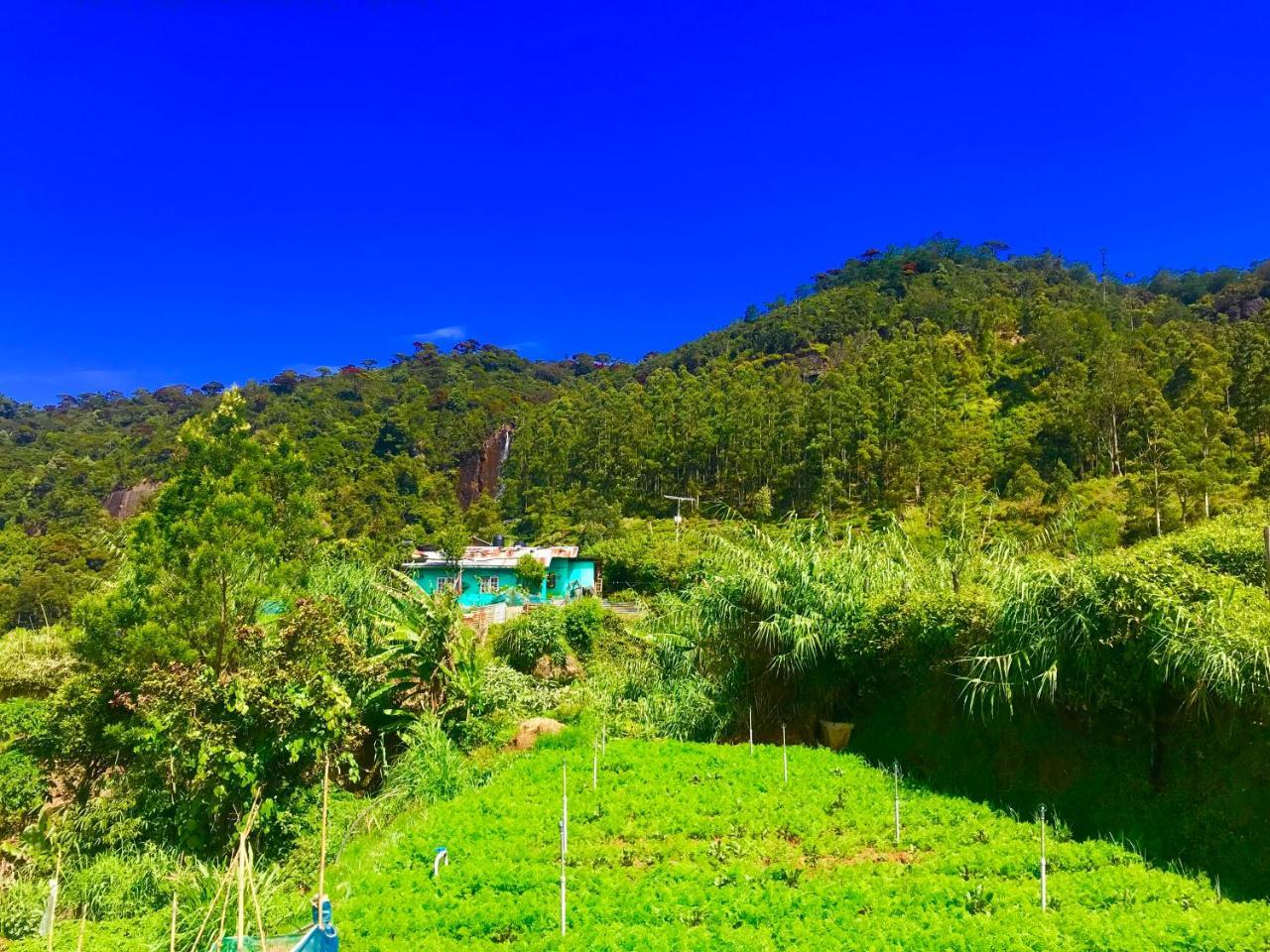 Loversleap bungalow Nuwara Eliya Exterior foto